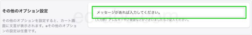 その他のオプション設定欄